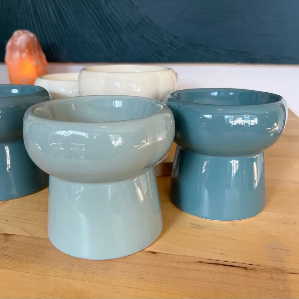 Ceramic Elevated Pet Foot Bowls Decor Cat Dog Home Small Mini Flower Cream Blue
